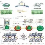 上海大学高彦峰教授课题组《中国科学：技术科学》发表废锂电池绿色回收方法的最新综述