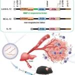 Nano Lett：系统递送编码mRNA、肿瘤激活的白细胞介素-12“锁”以消除肿瘤和规避免疫不良反应