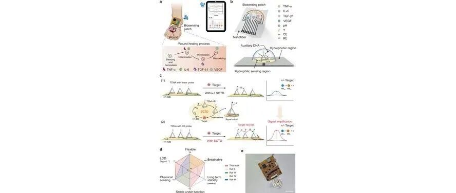 文献分享 |Nat. Commun.: 自限性四面体DNA电路嵌入的柔性生物电子器件，用于高保真慢性伤口监测