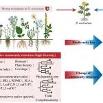 Functional Ecology | 新疆生地所研究揭示干旱与放牧对植物群落功能结构及入侵强度的影响机制