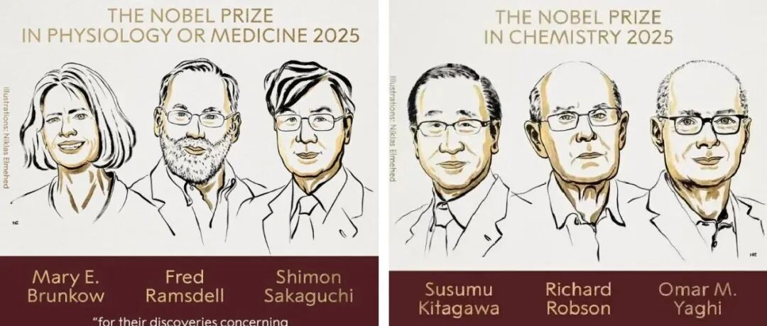 日本为什么能出31个诺贝尔奖得主？