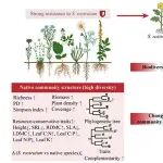 Functional Ecology|新疆生地所研究揭示干旱与放牧对植物群落功能结构及入侵强度的影响机制