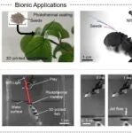 浙江农林大学最新Science
