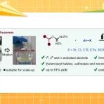 【Angew. Chem.】陕西师大薛东/康腾飞：电化学镍催化氧烷基异脲脱氧自由基型C(sp³)−C(sp²)交叉偶联