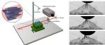 高能所张一、中物院陈森团队 Chem & Bio Eng. | 同步辐射 “透视” 螳螂虾尾节解密天然抗冲击结构的微观密码