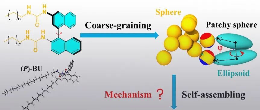 郑州大学李占伟教授团队 JACS：超分子手性螺旋微环的协同作用与穿孔主导自组装机制