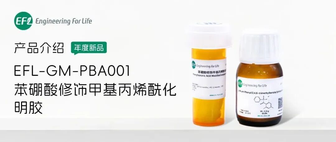 双交联Buff已装备，智能响应Buff已触发！苯硼酸修饰甲基丙烯酰化明胶（EFL-GM-PBA001）上市啦！