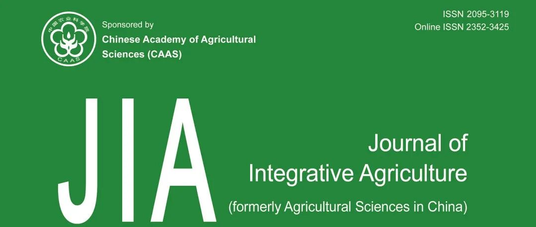 JIA 10月优先上线文章（二）