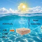 中国矿业大学齐聪团队 Small: 水母头核壳结构的低焓高抗盐太阳能海水淡化水凝胶蒸发器