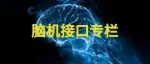 光谷发布“脑机接口11条”，最高5000万元支持