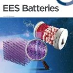 清华深研院刘思捷/港科大Kristiaan Neyts最新EES batteries封面文章：液晶电解质——锂电破局者