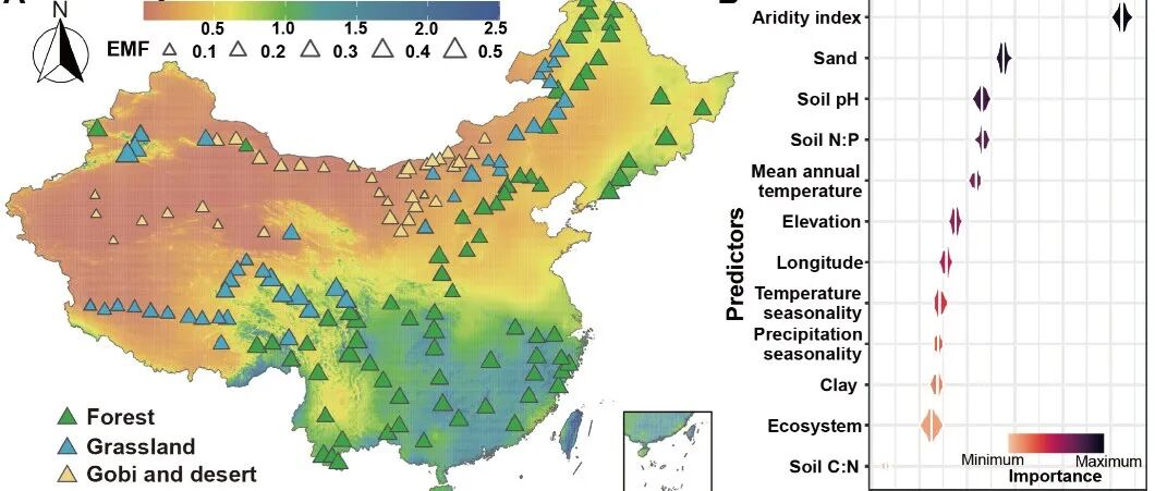 PNAS | 东北林业大学生态学院团队在生态系统多功能性的微生物维持机制方面取得新进展