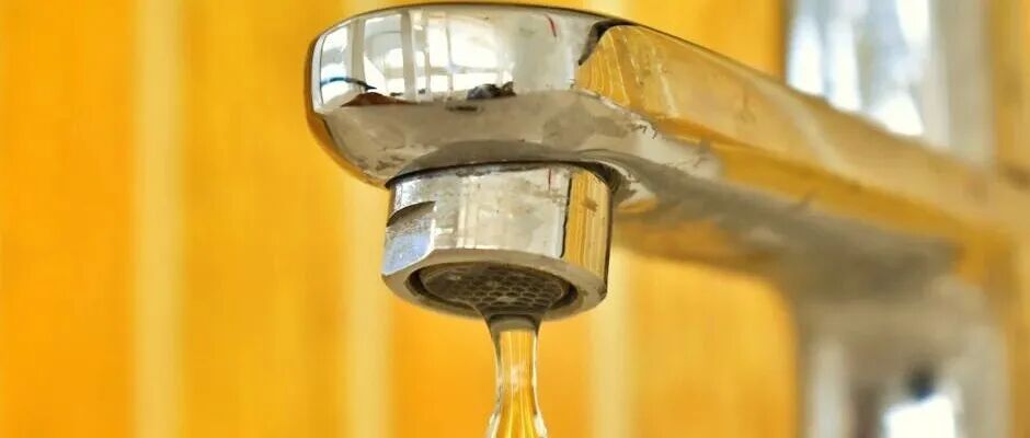 给水排水 |自来水流出虫子？根源可能在这些地方