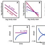 Ecology Letters |生物多样性在变化的环境中调节跨群落的比例关系