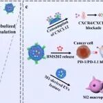 ACS Nano | 广州医科大学张海元/颜姣研究发现雾化吸入工程化细胞外囊泡可以破坏转移前微环境并有效抑制癌细胞术后肺转移