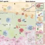 ACS Nano | 兰州大学唐荣冰独立研究设计磁响应半生命体保护肿瘤周围T淋巴细胞并精确根除肿瘤细胞