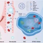ACS Nano：仿生纳米调节剂可共递送酪氨酸羟化酶mRNA和干扰素基因刺激因子拮抗剂以治疗帕金森病