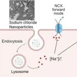 Nano Lett：氯化钠纳米颗粒可通过破坏渗透压平衡和增强抗肿瘤免疫强化放射治疗