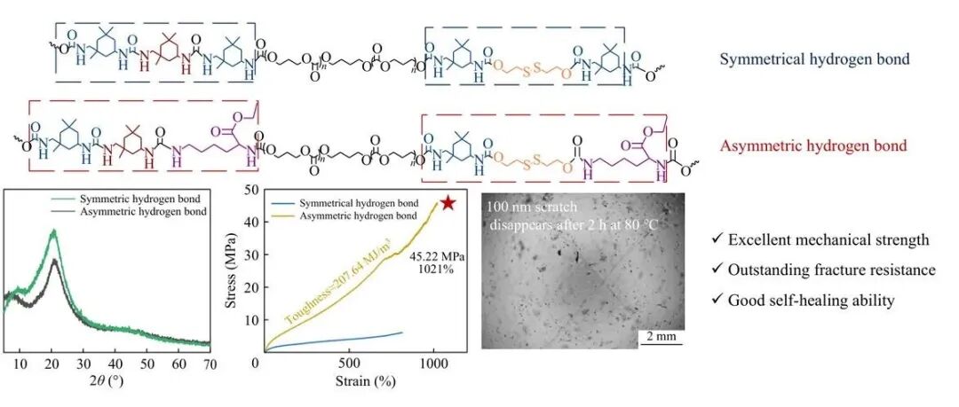 非对称氢键：实现生物基聚氨酯的自修复与力学性能双向提升