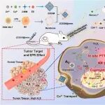 Biomaterials | 中国医学科学院吕丰等团队研究构建的仿生铜基MOF触发原位光热和死亡以增强结肠癌免疫治疗效果
