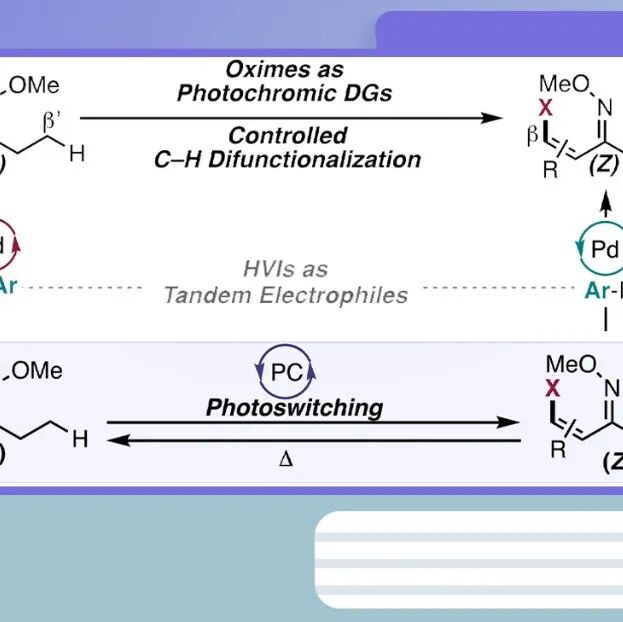 【ACS Catal.】纽约大学Parasram：光致变色肟导向基团，用于C(sp&#178;)&#8722;H/C(sp&#179;)&#8722;H键的可控官能团化反应