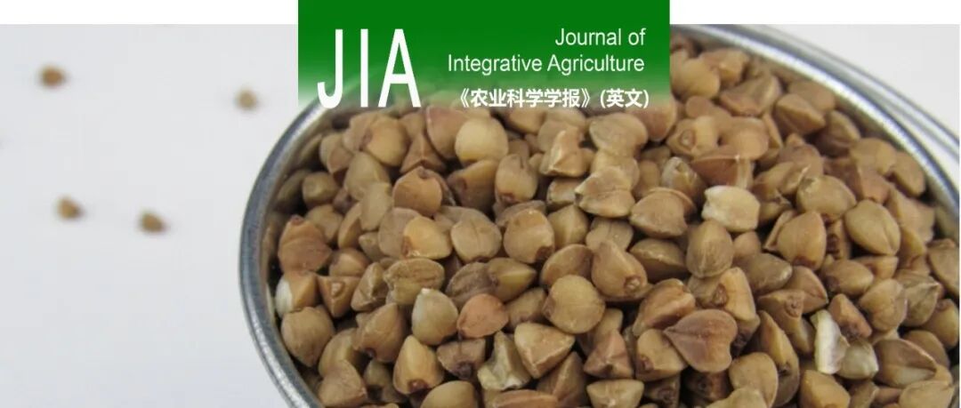 JIA | 中国农业科学院作物科学研究所：全基因组关联研究结合转录组分析鉴定苦荞抗旱基因FtADH1
