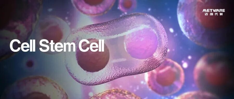 Cell Stem Cell｜多层蛋白质组学解析小鼠类原肠胚早期胚胎发育分化过程