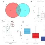 MOL CANCER丨中南大学龚学军/纪连栋研究揭示微生物组-代谢组在胰腺癌进展中的相互作用