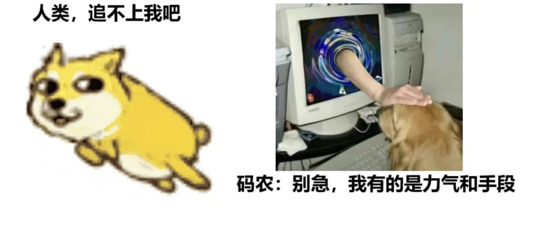 万一用得上呢？认真教你如何追上一只狗
