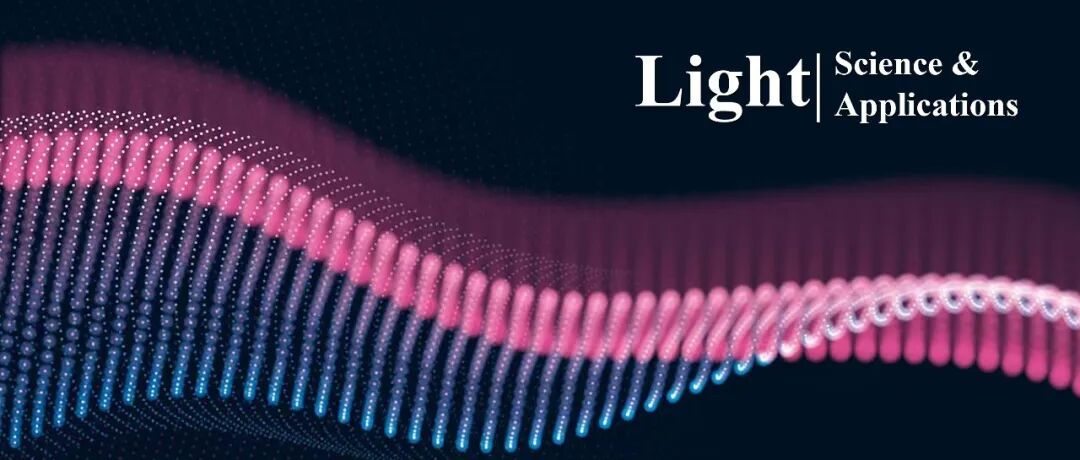 王军/魏静轩/韩松等Light | 二维材料赋能多维度光电探测器