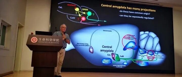 【学术笔记】催产素在恐惧反应以及在社会行为调节中的作用