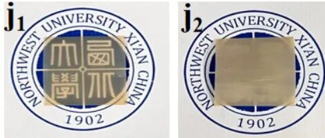 西北大学花秀夫教授团队在材料领域顶级期刊AFM上发表最新研究成果