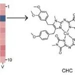 J. Am. Chem. Soc. | 海洋天然产物查戈生丁C通过靶向FDX1诱导结直肠癌细胞的铜死亡