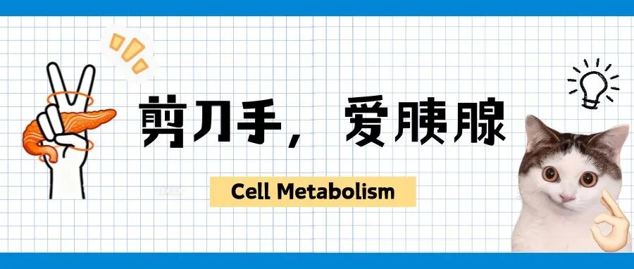 Cell Metabolism：剪刀手，爱胰腺