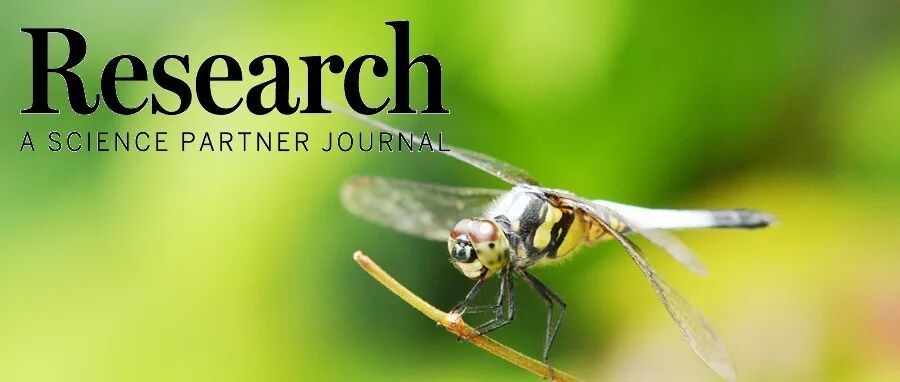 Research|国防科技大学吴学忠、肖定邦团队提出一种可无控自稳定悬飞的昆虫级扑翼微飞行器