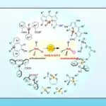 【CCS Chem.】武汉工程大学古双喜/杨公明团队综述：氮杂环卡宾不对称催化构建杂原子立体中心