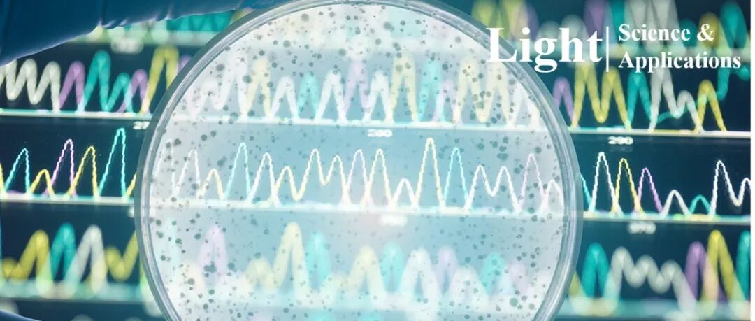 郭旭涵、苏翼凯团队Light | 微型混沌辅助光谱仪