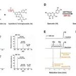 浙江大学陈伟团队最新Science子刊