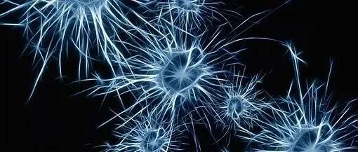 Nature Electronics：基于单层 MoS&#8322; 的类脑仿生神经元，实现内在可塑性！