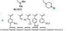 J. Am. Chem. Soc. | 新型BRD9分子胶降解剂实现低副作用肿瘤细胞杀伤