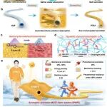 Adv. Mater：用于个人热管理的协同分子太阳能热织物系统