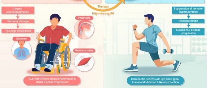 The Innovation Medicine | 首创临床应用高剂量gp96治疗渐冻症显奇效
