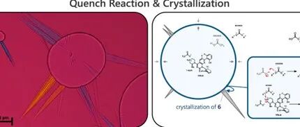 Quench-Crystallization Operation in Drug Substance Manufacturing