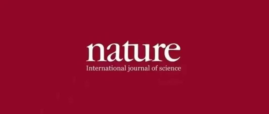 后生可畏！一篇Nature震惊全球！材料领域最年轻院士候选人登场！