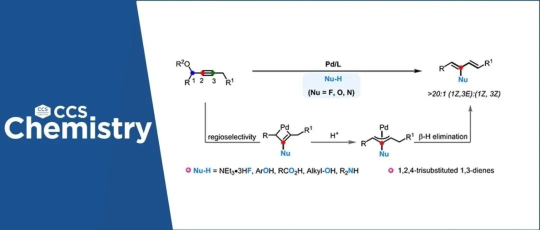 【CCS Chem.】 南京师范大学陈良安/南京林业大学宋亮亮：钯催化炔丙醇酯与多种亲核试剂偶联构建多取代功能化共轭二烯