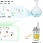 武汉大学陈文青课题组&西安交通大学费强课题组：实现mRNA疫苗原料—假尿苷的生物智造