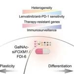 J Hepatol丨广州医科大学刘铭等发现FOXM1/CEBPB轴驱动靶向细胞状态可塑性破坏了肝细胞癌的发育异质性和治疗耐药性