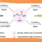 【ACS Catal.】中国科学技术大学徐允河课题组：铜催化配体调控α,β-不饱和酯区域多样性硅氢化反应研究