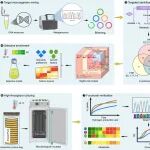 哈尔滨工业大学任南琪院士团队黄聪组iMeta：厌氧微生物的靶向高通量分选方法
