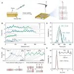 吉林大学张文科教授团队 Macromolecules：聚合物纤维屈服应力与单分子力学行为的定量关联